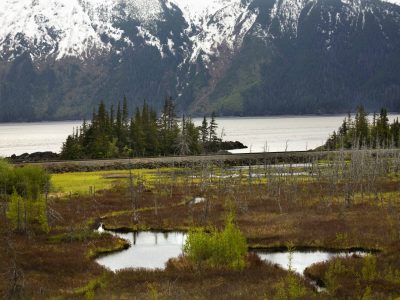 Two Lake, Trees, Ocean and Snow Mountains, Seward Highway, Anchorage, Alaska